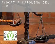 Avocat à  Caroline du Sud