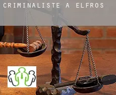 Criminaliste à  Elfros