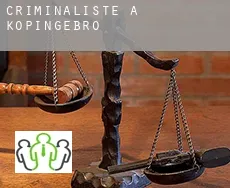 Criminaliste à  Köpingebro