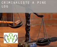Criminaliste à  Pine Log