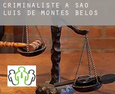 Criminaliste à São Luís de Montes Belos