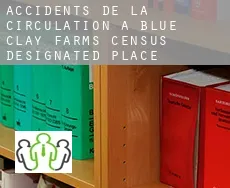 Accidents de la circulation à  Blue Clay Farms