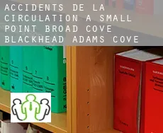 Accidents de la circulation à  Small Point-Broad Cove-Blackhead-Adams Cove