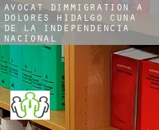 Avocat d'immigration à  Dolores Hidalgo Cuna de la Independencia Nacional