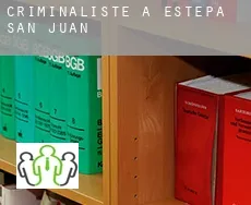 Criminaliste à  Estepa de San Juan