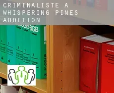 Criminaliste à  Whispering Pines Addition