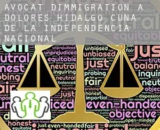 Avocat d'immigration à  Dolores Hidalgo Cuna de la Independencia Nacional