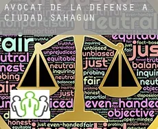Avocat de la défense à  Ciudad Sahagún
