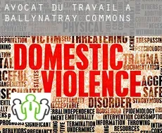 Avocat du travail à  Ballynatray Commons