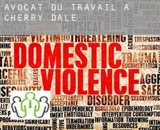 Avocat du travail à  Cherry Dale