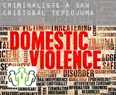 Criminaliste à  San Cristobal Tepeojuma