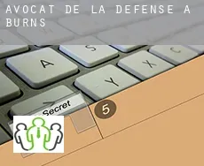Avocat de la défense à Burns