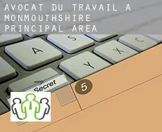 Avocat du travail à  Monmouthshire principal area