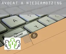 Avocat à  Niedermotzing