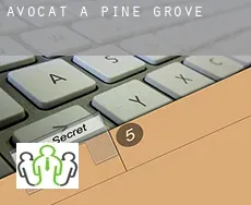 Avocat à  Pine Grove