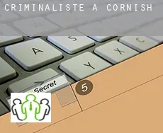 Criminaliste à  Cornish