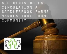 Accidents de la circulation à  Saddlebrook Farms Manufactured Home Community