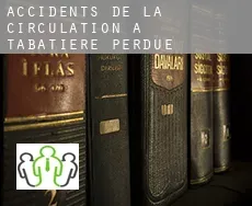 Accidents de la circulation à  Tabatiere Perdue