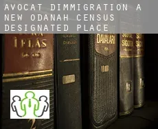 Avocat d'immigration à New Odanah