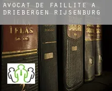 Avocat de faillite à  Driebergen-Rijsenburg