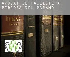Avocat de faillite à  Pedrosa del Páramo