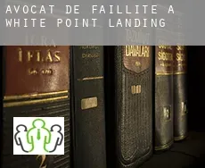 Avocat de faillite à  White Point Landing