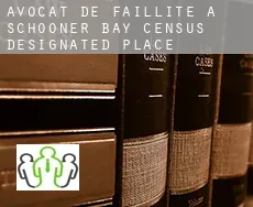 Avocat de faillite à  Schooner Bay