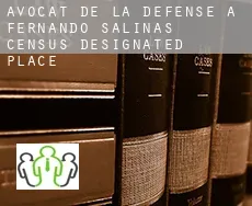 Avocat de la défense à Fernando Salinas