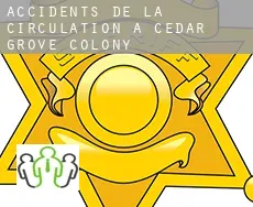 Accidents de la circulation à Cedar Grove Colony