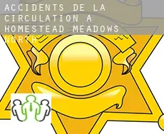 Accidents de la circulation à  Homestead Meadows North