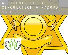 Accidents de la circulation à Radowo Małe