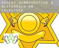 Avocat d'immigration à Mitterbach am Erlaufsee