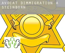 Avocat d'immigration à  Steinborn