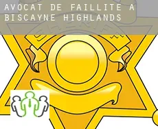 Avocat de faillite à  Biscayne Highlands
