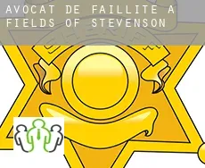 Avocat de faillite à  Fields of Stevenson