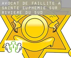 Avocat de faillite à  Sainte-Euphémie-sur-Rivière-du-Sud