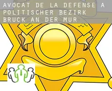 Avocat de la défense à Politischer Bezirk Bruck an der Mur