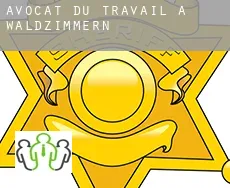 Avocat du travail à  Waldzimmern