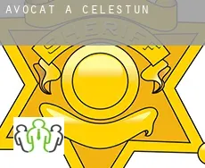 Avocat à  Celestún