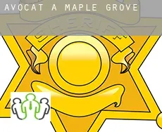 Avocat à  Maple Grove