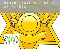 Criminaliste à  Fortín de las Flores