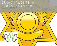 Criminaliste à  Großebersdorf