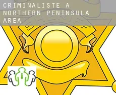 Criminaliste à  Northern Peninsula Area