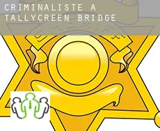 Criminaliste à Tallycreen Bridge