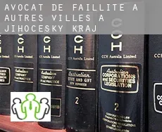 Avocat de faillite à  Autres Villes à Jihocesky kraj