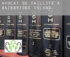 Avocat de faillite à  Bainbridge Island