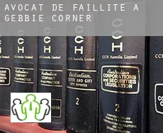Avocat de faillite à  Gebbie Corner