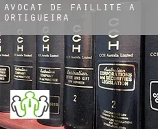 Avocat de faillite à  Ortigueira