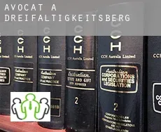 Avocat à  Dreifaltigkeitsberg
