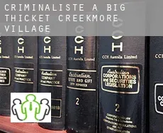 Criminaliste à Big Thicket Creekmore Village